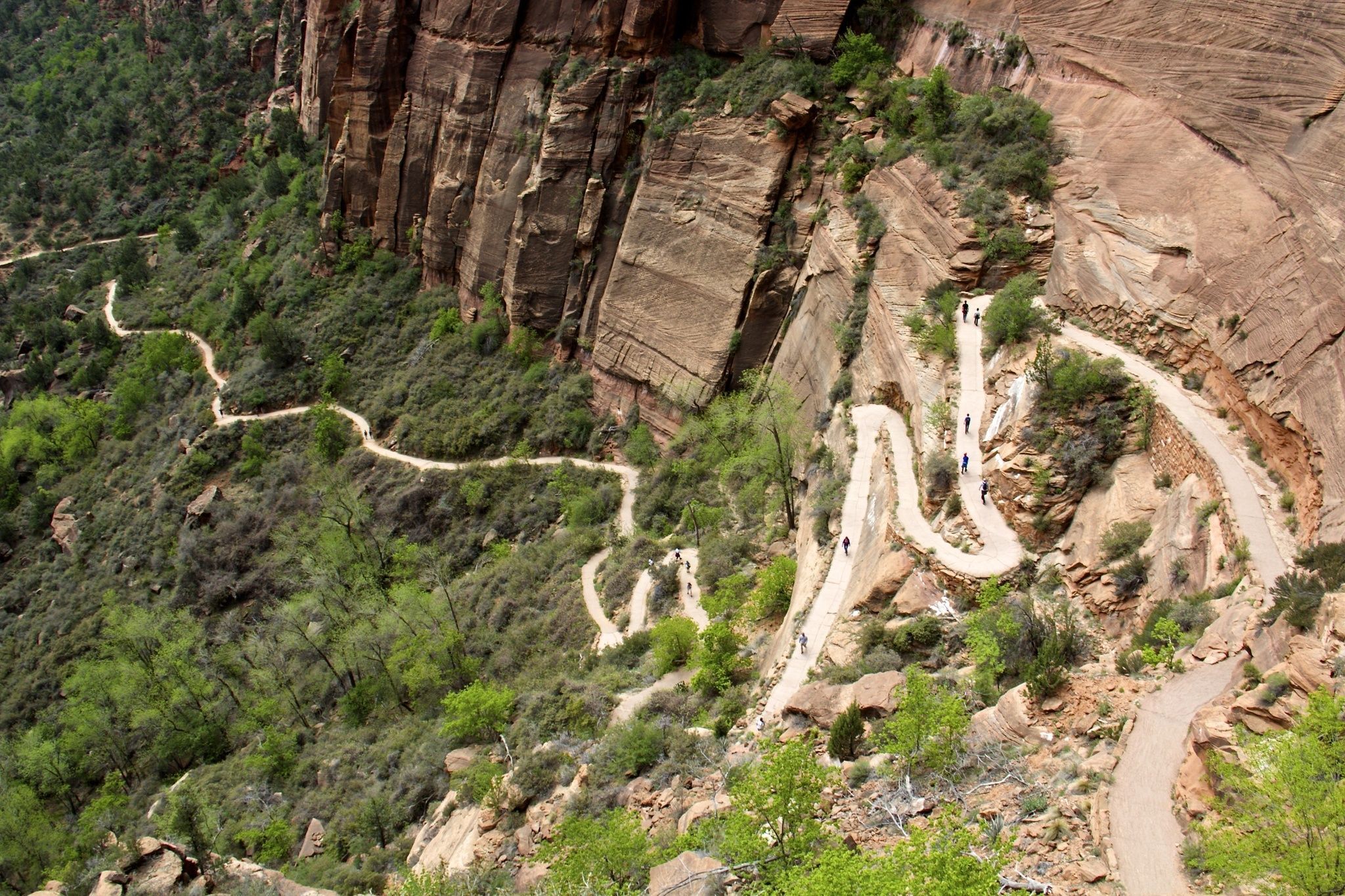 Zion NP